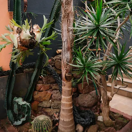 Casa Do Remo Canical (Madeira)