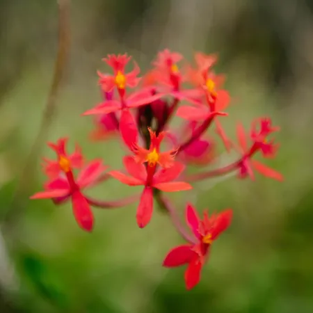 Appartement Casa Do Remo