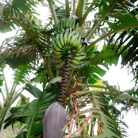 Apartamento Casa Do Remo *