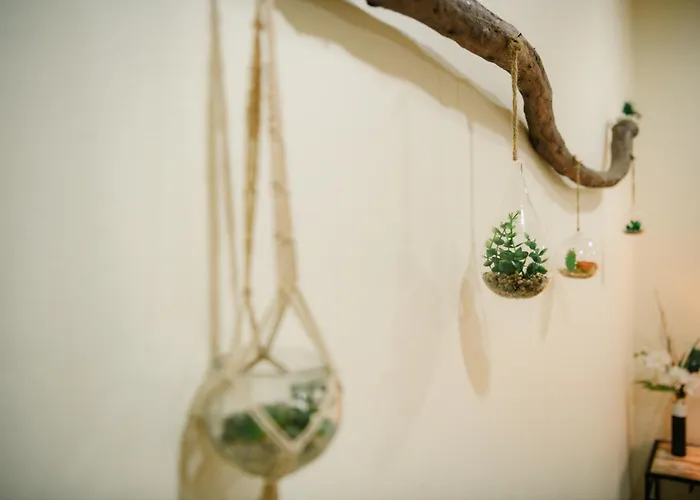 Casa Do Remo 公寓 *