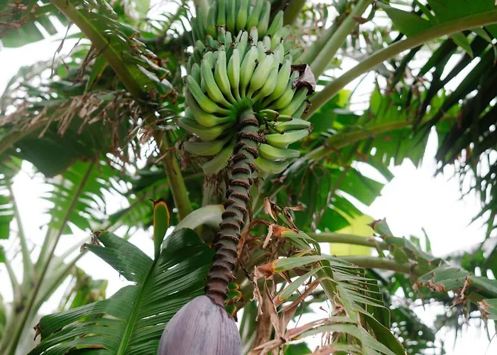 公寓 Casa Do Remo *