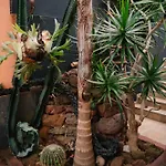Casa Do Remo Canical (Madeira)