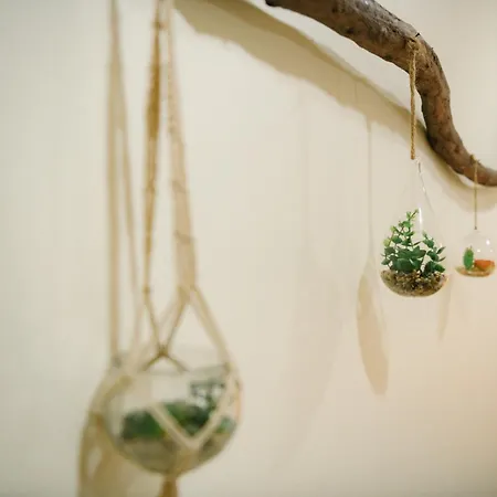 Casa Do Remo Appartement *