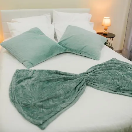 아파트 Casa Do Remo 카니살