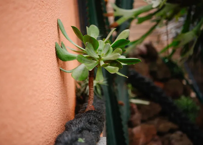 Casa Do Remo * Канисал