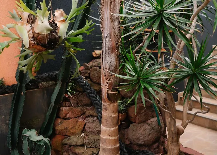 Casa Do Remo Канисал